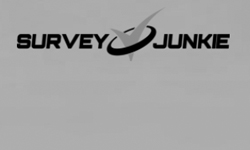 US - Survey Junkie (DOI)