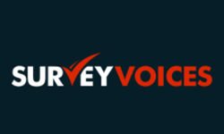 US - Survey Voices