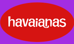 US - Havaianas Competition
