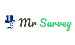 UK - Mr Survey