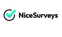 CA - Nice Surveys